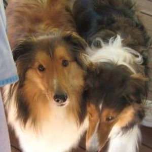 Meet your Posher, Mickey